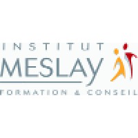 INSTITUT MESLAY Logo