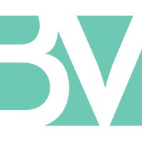BIGVISION Logo