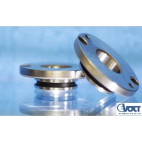 Evolt de Mexico S.A. DE C.V. Logo