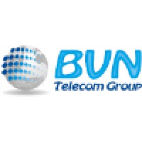 BVN Telecom Group Logo