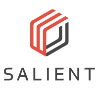 Salient Systems Logo