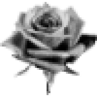 SPLEEN FACTORY Logo