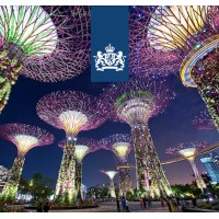 Embassy of the Kingdom of the Netherlands in Singapore Logo