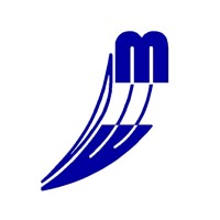 MarMax S.r.l. Logo