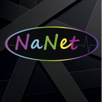 NaNet Web Design Logo