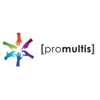 Promultis LTD Logo
