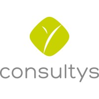 Consultys CH Logo