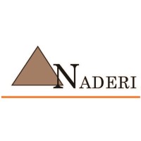 Naderi Engineering, Inc. Logo
