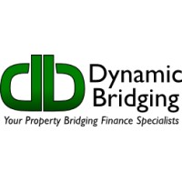 Dynamic Bridging (Pty) Ltd Logo