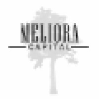 Meliora Capital Logo
