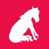 Pony Friday Logo