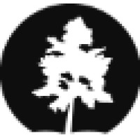 Precision Tree Services Ltd Logo