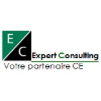 Expert Consulting Logo