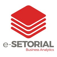 e-SETORIAL Business Analytics Logo