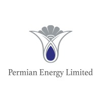 Permian Energy Limited Logo