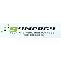 Synergy Staffing & Consultancy Services Pvt. Ltd. Logo