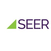 Seer Analytics, LLC Logo