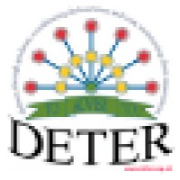 Determanagement Limited Logo
