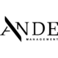 ANDE Management Logo