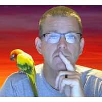 MVP Tax Resolution Services Logo