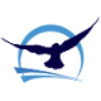 INO Networks Group Logo