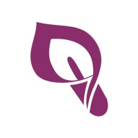 Sandy Flom CPA Logo