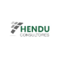Hendu Consultores Logo