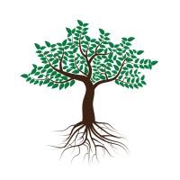 DBF Financial Planning & Wealth Solutions CC Logo