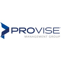 ProVise Management Group, LLC. Logo