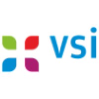 V. S. International Pvt.Ltd. Logo