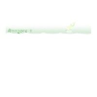 @rragone IT Logo