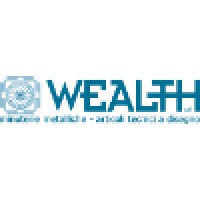 Wealth Srl Logo