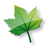 Colegio Paulo Freire Quito Logo