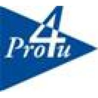 Pro4u Logo