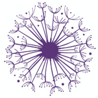 Feel Filmes e Produções Logo