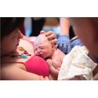 Home Birth Midwifery Service Logo