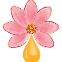 Essential Oils and You Logo