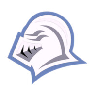 Black Knight Investment Management, Inc. Logo