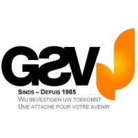 GSV NV Logo