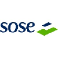 SOSE – Soluzioni per il Sistema Economico S.p.A. Logo