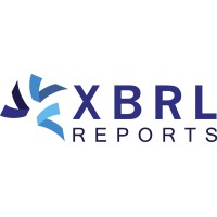 XBRLreports BV Logo