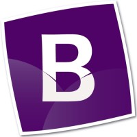 Bunt ICT B.V. Logo