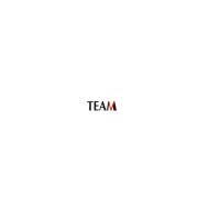 Team Holding LLC Logo