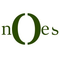 Norwegian Oil and Energy Solutions AS(NOES) Logo