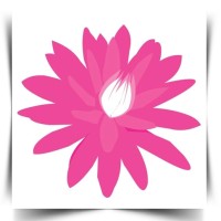 Consultoras do Brasil Logo