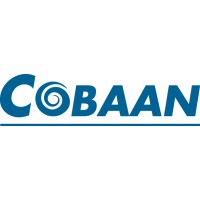 COBAAN | Development Programmas | Executive search | Logo