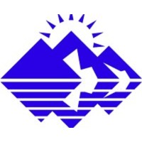 blue-wire Logo