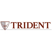 Trident Process Systems, LLC Logo