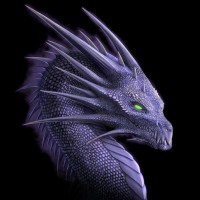 Dragon Investigation Group Logo