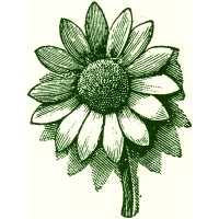 PUMPKIN BROOK ORGANIC GARDENING Logo